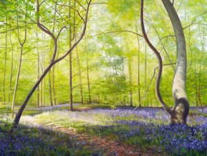 Bluebell Wood, Forest of Bere